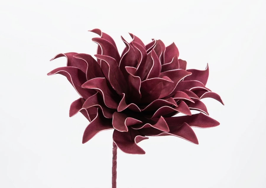 6 Fleurs Villa Bordeaux 70cm 3 6 Fleurs Villa Bordeaux 70cm