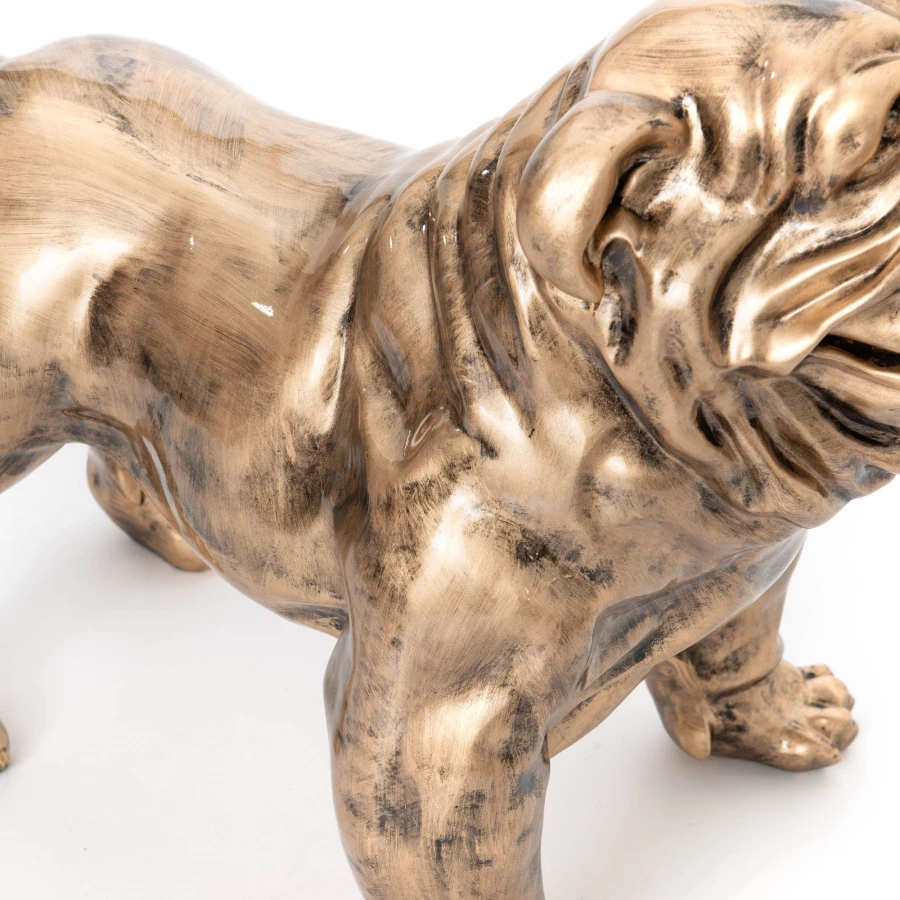 Bulldog USA Patine Dorée (Outdoor) 4 Bulldog USA Patine Dorée (Outdoor) – Image 2