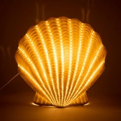 Lampe Coquille Porcelaine Enfant 7 Lampe Coquille Porcelaine Enfant -STYLE CAMPAGNE Boutique 706 1 Lampe Coquille Porcelaine Enfant Amadeus Cades Deco Campagne Chic 2